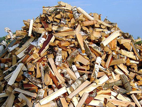 Сохранить дрова: шесть важных правил