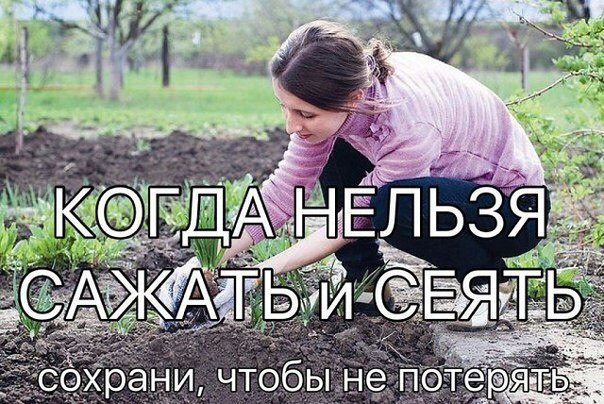 Когда нельзя сажать и сеять