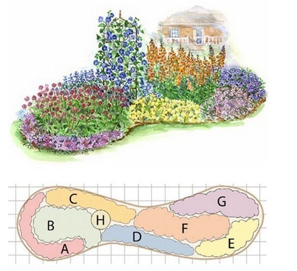 Клумба из однолетников, не требующая ухода