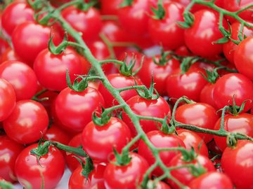 Десять вещей, которые вы вряд ли знаете о… томатах