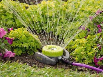 Как правильно поливать сад и огород