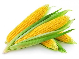 Вареная кукуруза: все секреты приготовления