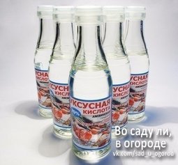 20 применений уксуса в хозяйстве, о которых вы не знали!