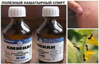 Нашатырный спирт: семь бед - один ответ