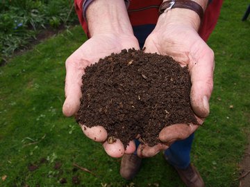 Как сделать "черное золото" для вашего сада