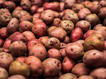 Апрель: время покупать картофель на посадку